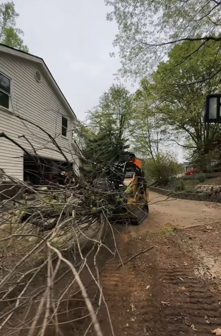 Tree root system affecting residential property foundation