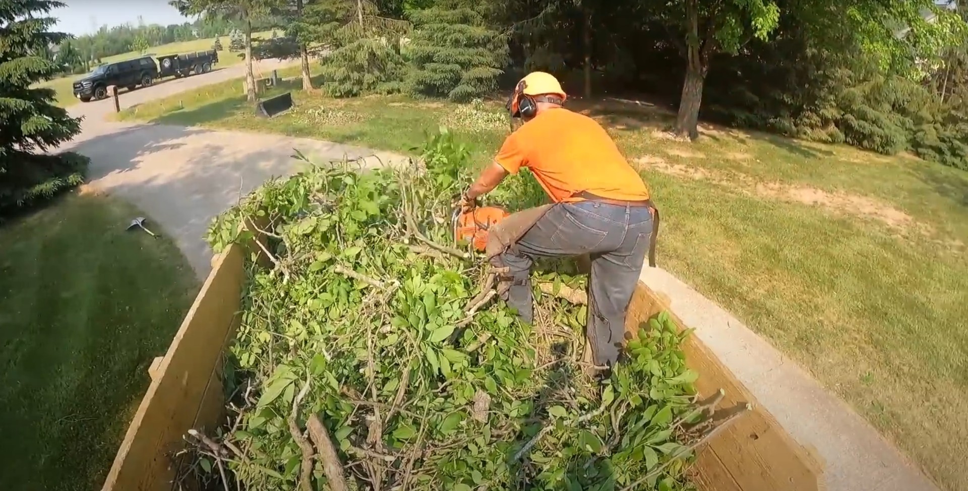 Tree stump grinding process and removal equipment