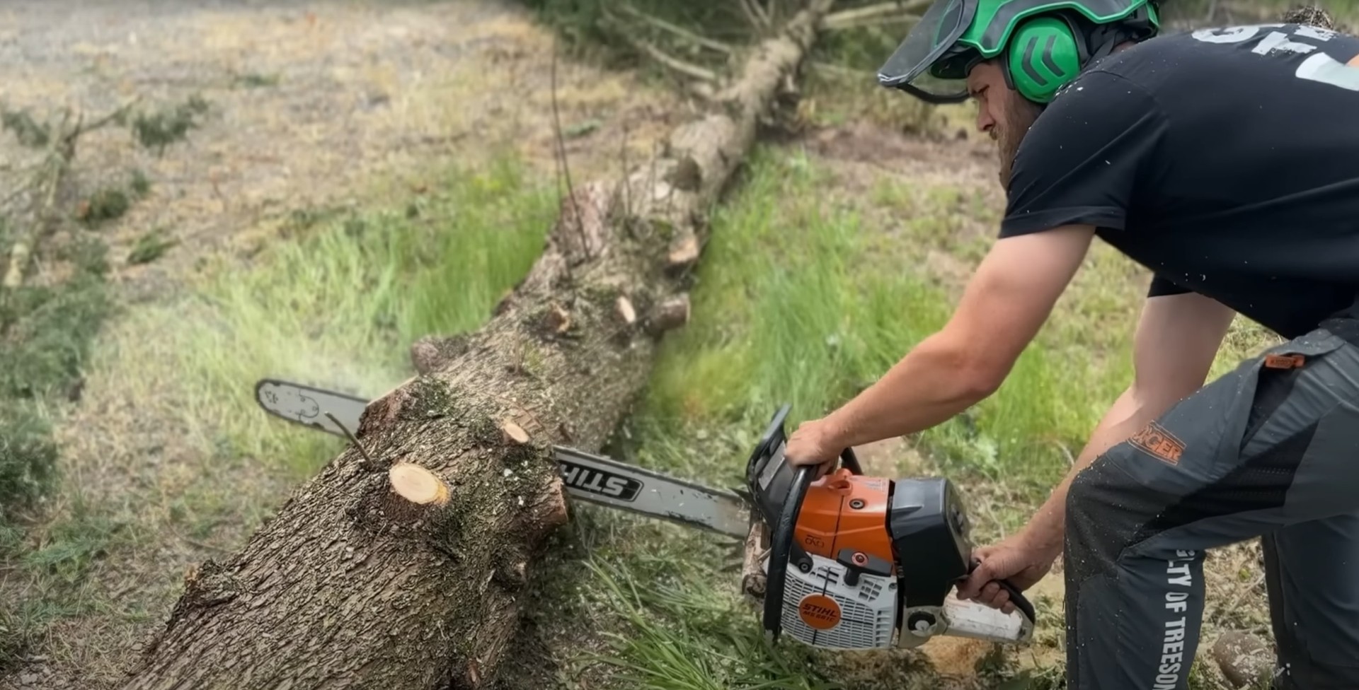Arborist using chainsaw for precision tree cutting