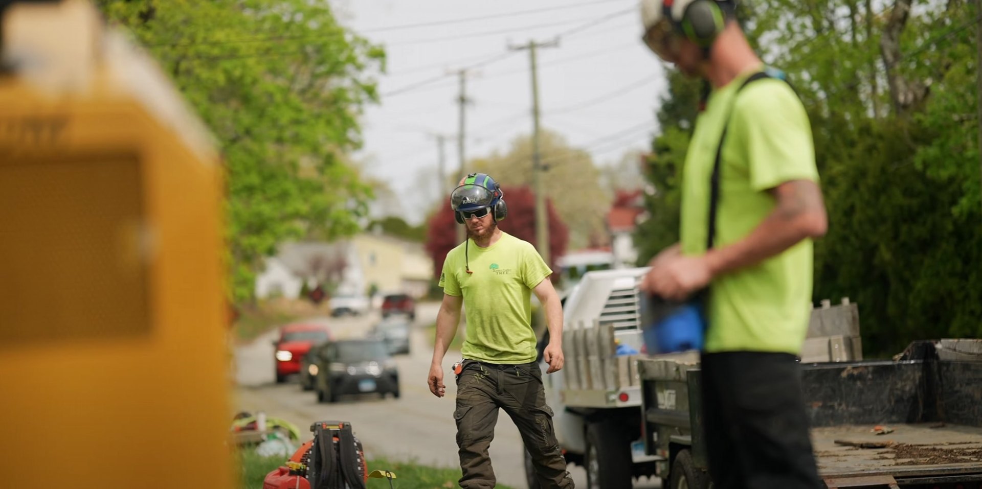 Professional tree service crew working safely in Cerritos