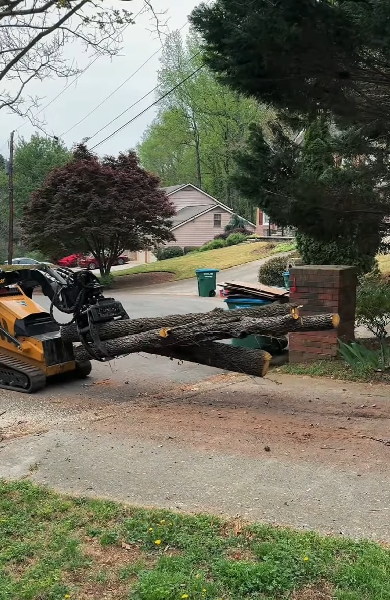 Heavy machinery removing large tree trunk from residential property