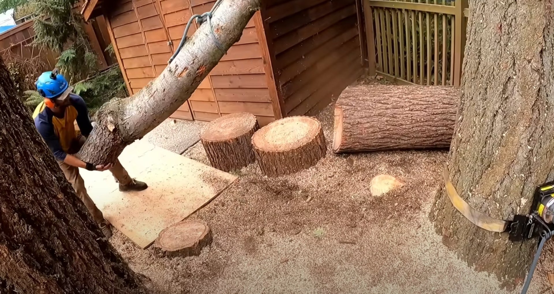 Tree service professional cutting logs in residential backyard