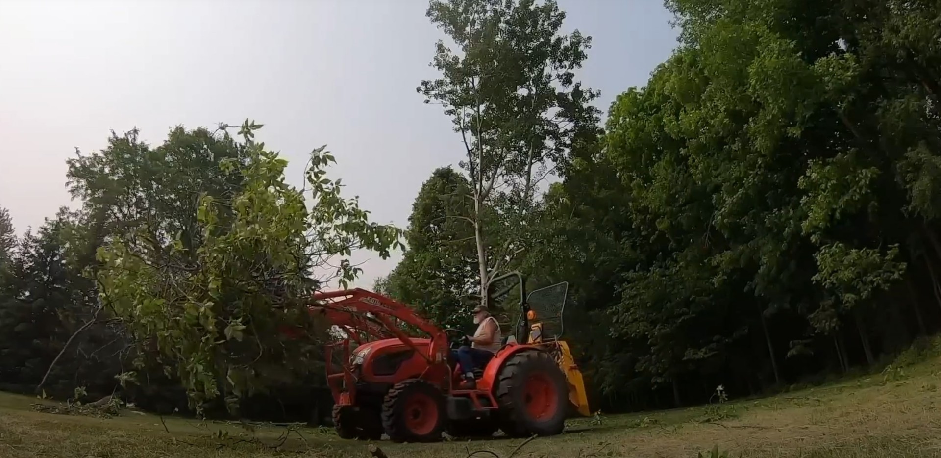 Tree removal equipment and machinery in action